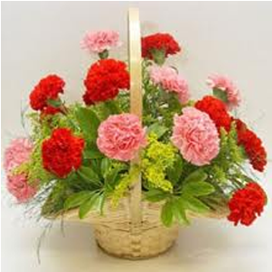 Good Night Flower Bangla (450x300), Png Download