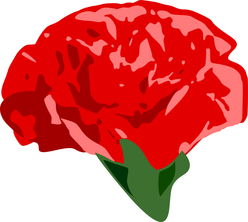 Carnation Garden Roses Drawing Computer Icons - Clip Art (837x750), Png Download