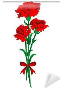 Carnation (400x400), Png Download