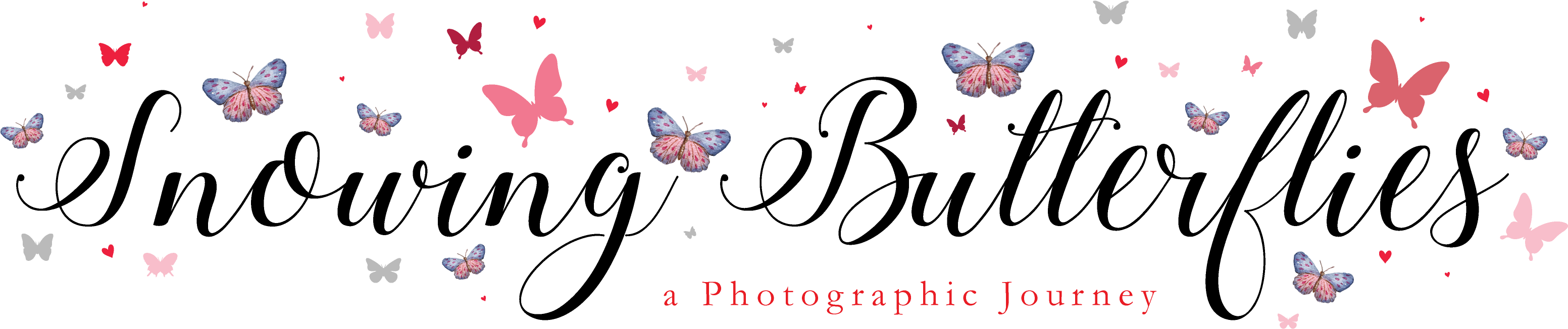 Thebutterflyboheme Crystal Bridal Head Wreath - Crystal (3333x943), Png Download