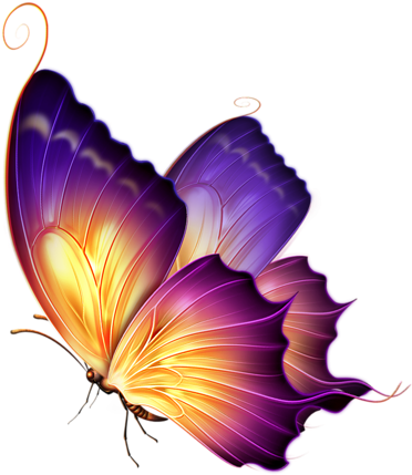 Svetajud «butterfly 17 » На Яндекс - Colour Butterfly Png (443x500), Png Download