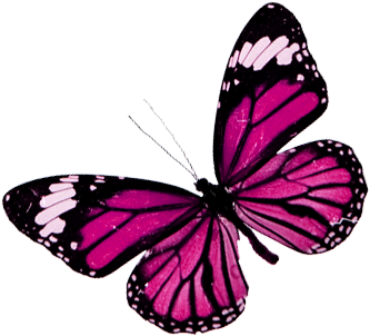 Mariposas Png Publicado Por Marina En - Dreams Huatulco (448x336), Png Download