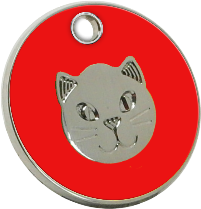 Cat (938x938), Png Download