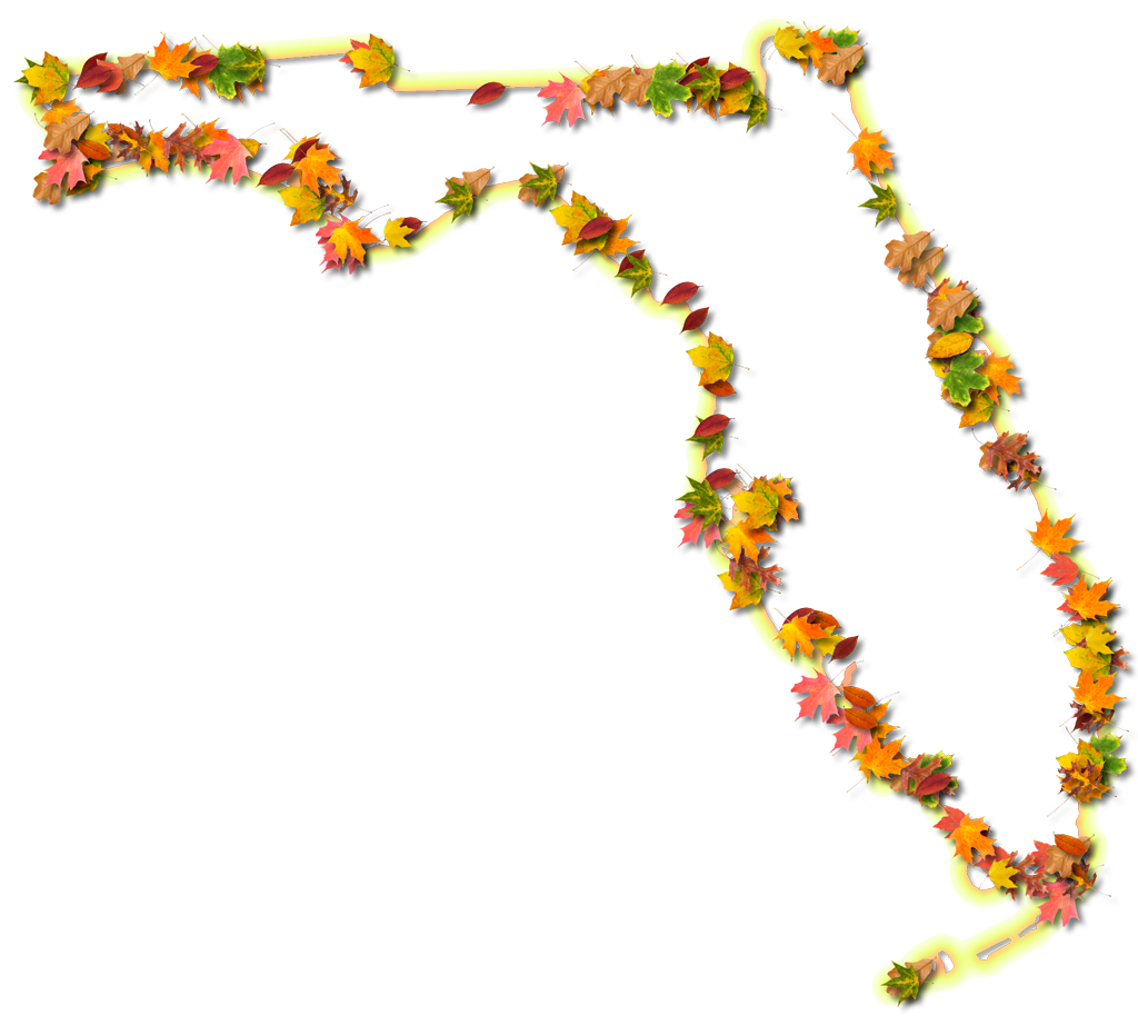 Florida "fancy Frame" Style - Florida (1024x922), Png Download