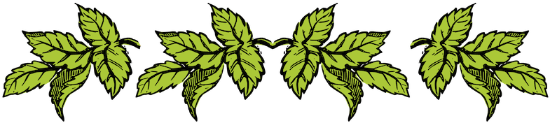 Border Png Tumblr - Leaf Border Tumblr Png (800x175), Png Download