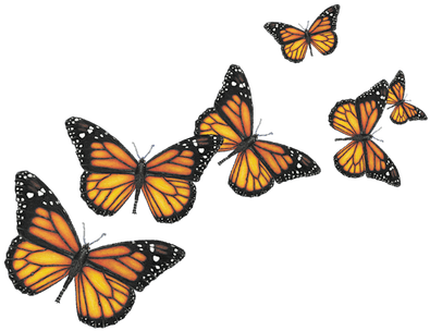 Butterfly Png (400x400), Png Download