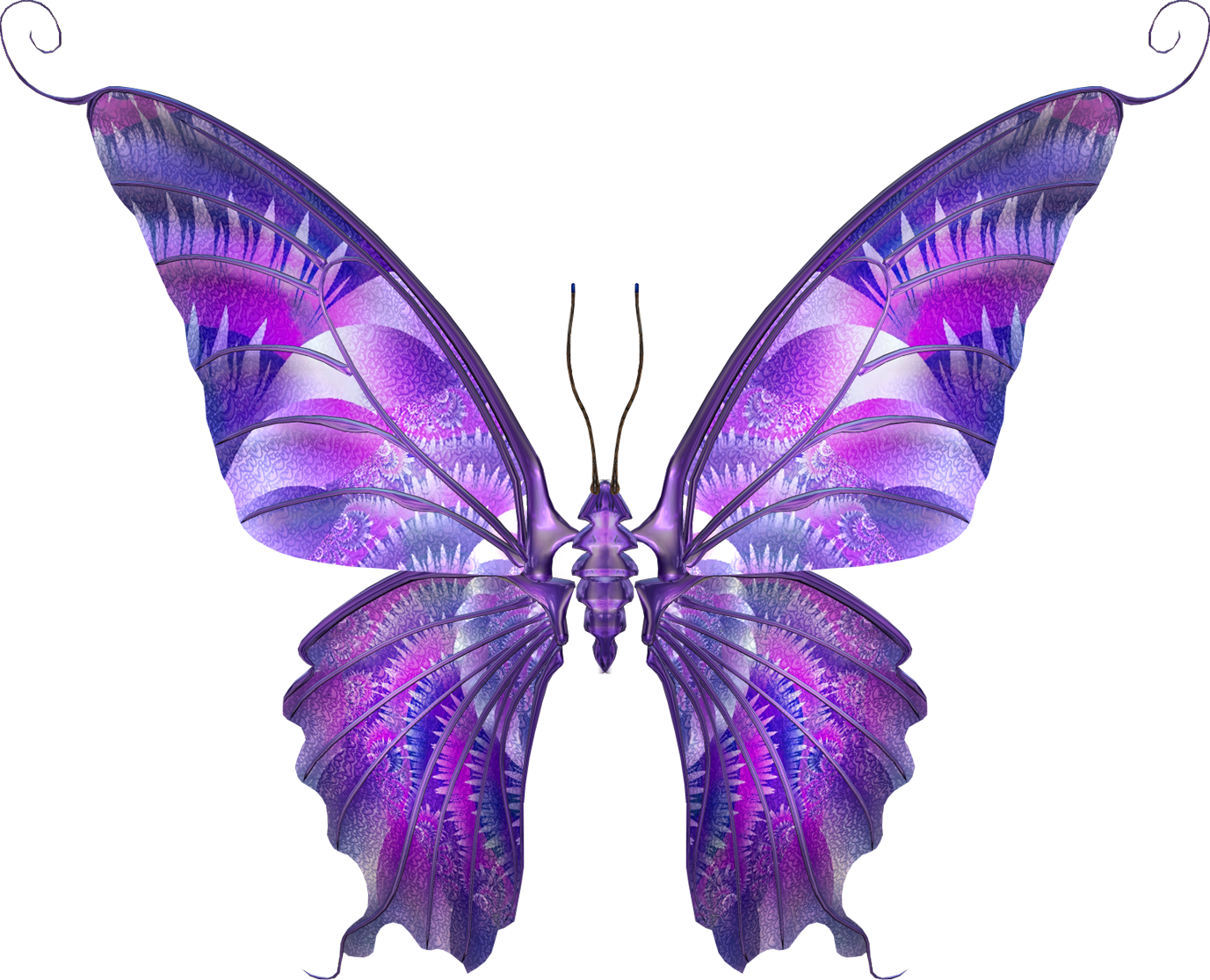 Free Desktop Wallpapers, Photos, Pictures And Backgrounds - Real Butterfly Wings Purple (1377x1115), Png Download