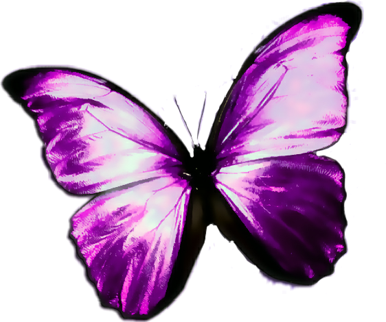 Butterfly-purple Round Car Magnet (562x470), Png Download