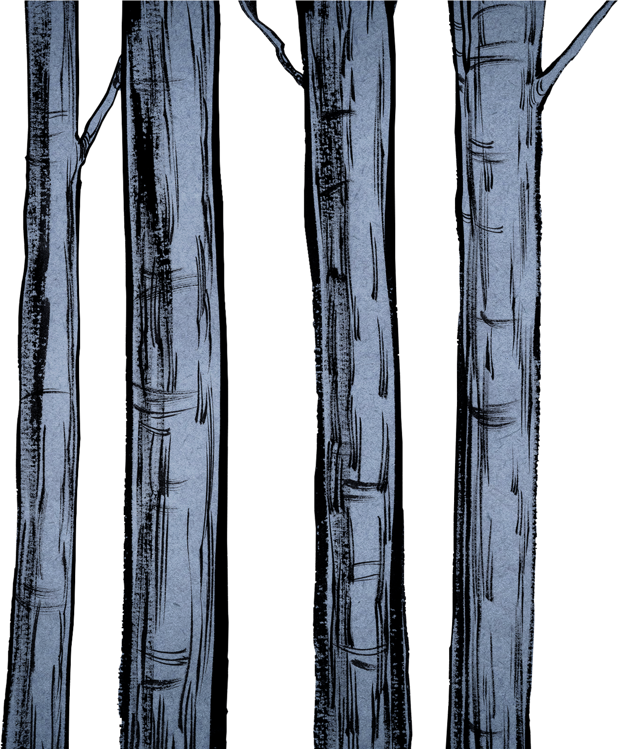 In The Tree Park, A Wall Listing Donors And Fixed Special - Wood (2048x1536), Png Download