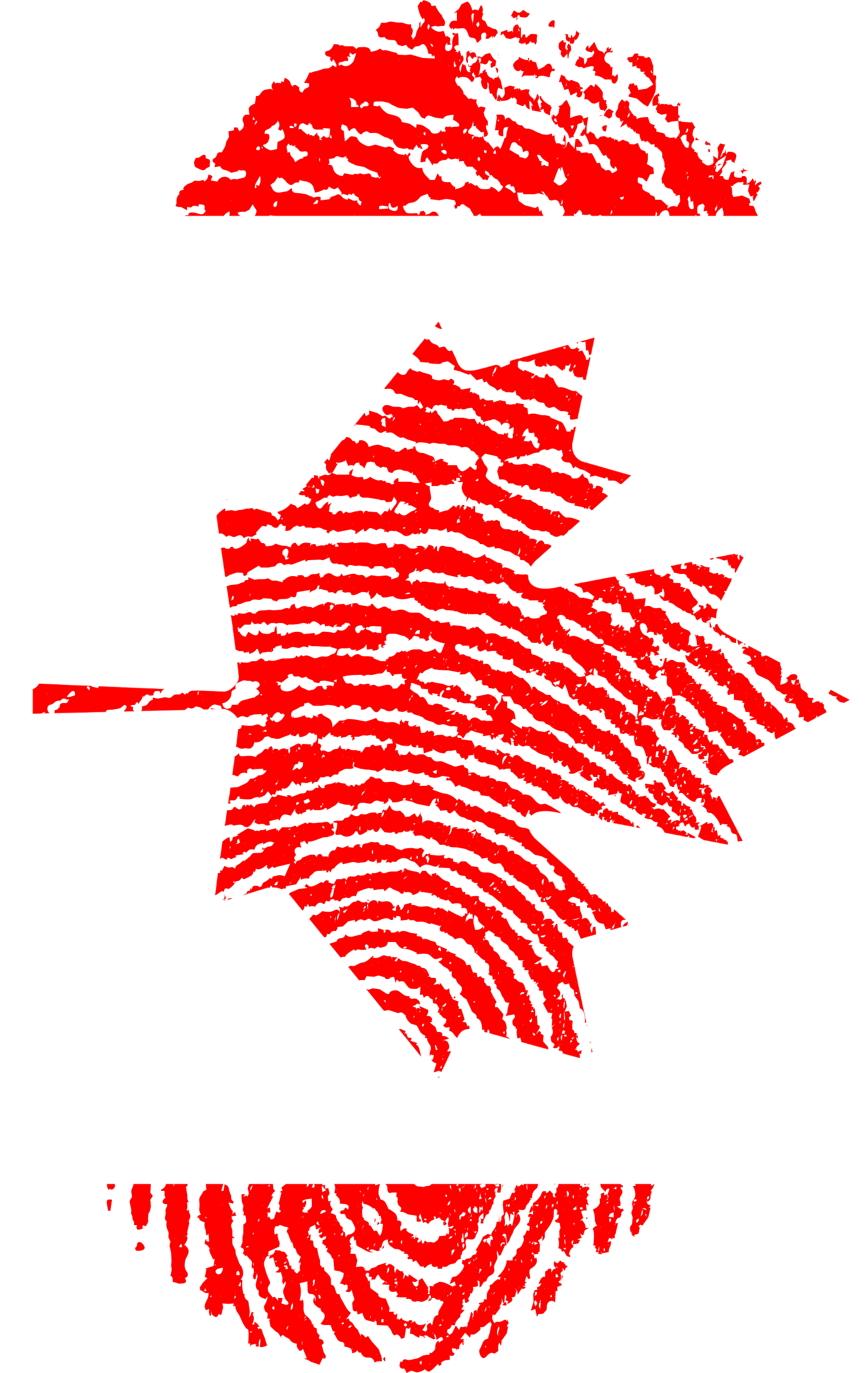 Canada Flag Fingerprint Country 653057 - Canadian Identity Finger Print (1573x2488), Png Download