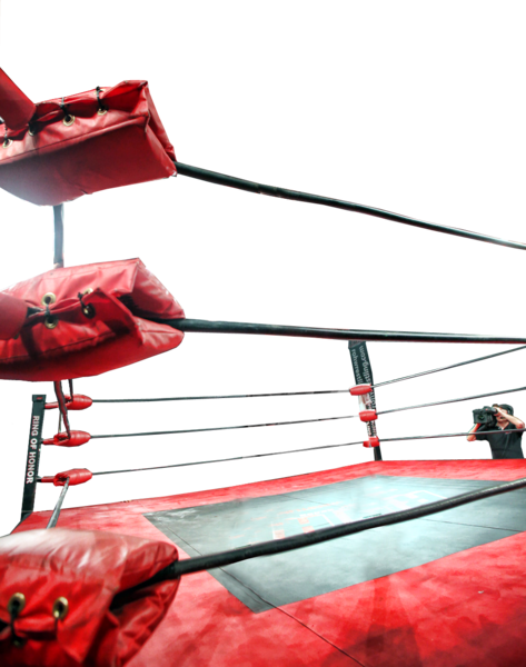 Wrestling Ring - Wrestling Ring Ropes Png (473x600), Png Download