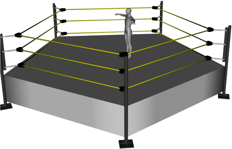 Wwe Ring Png - Rines De Lucha Libre De Camas (985x810), Png Download