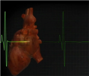 A “band-aid” To Heal Hearts - Plant (600x300), Png Download