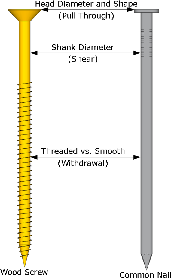 Screw Drawing Nail - Nail (791x1024), Png Download