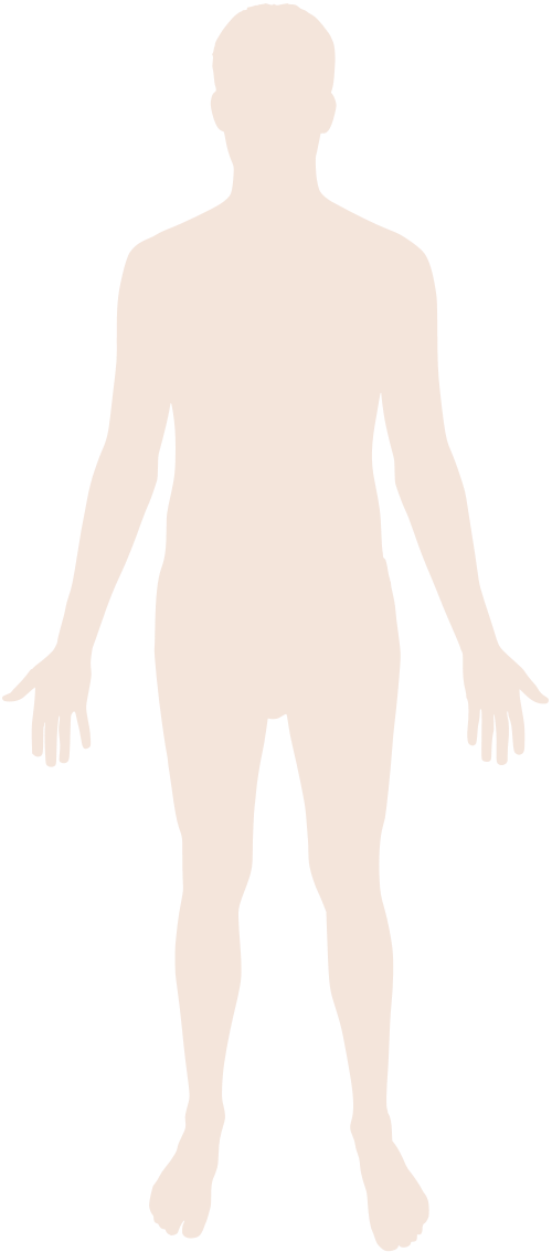 This Image Rendered As Png In Other Widths - Transparent Background Body Png (500x1134), Png Download