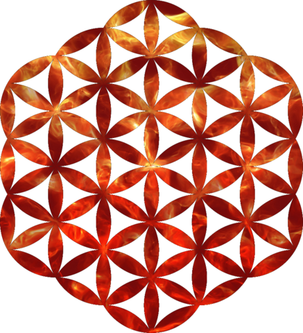 Fractal Geometry Which Is Then Reverse Engineered Back - Coldplay Flor De La Vida (437x480), Png Download