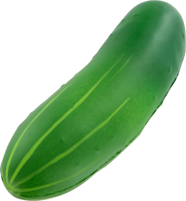 Cucumber Png Free Download - Pipino Clip Art (600x650), Png Download
