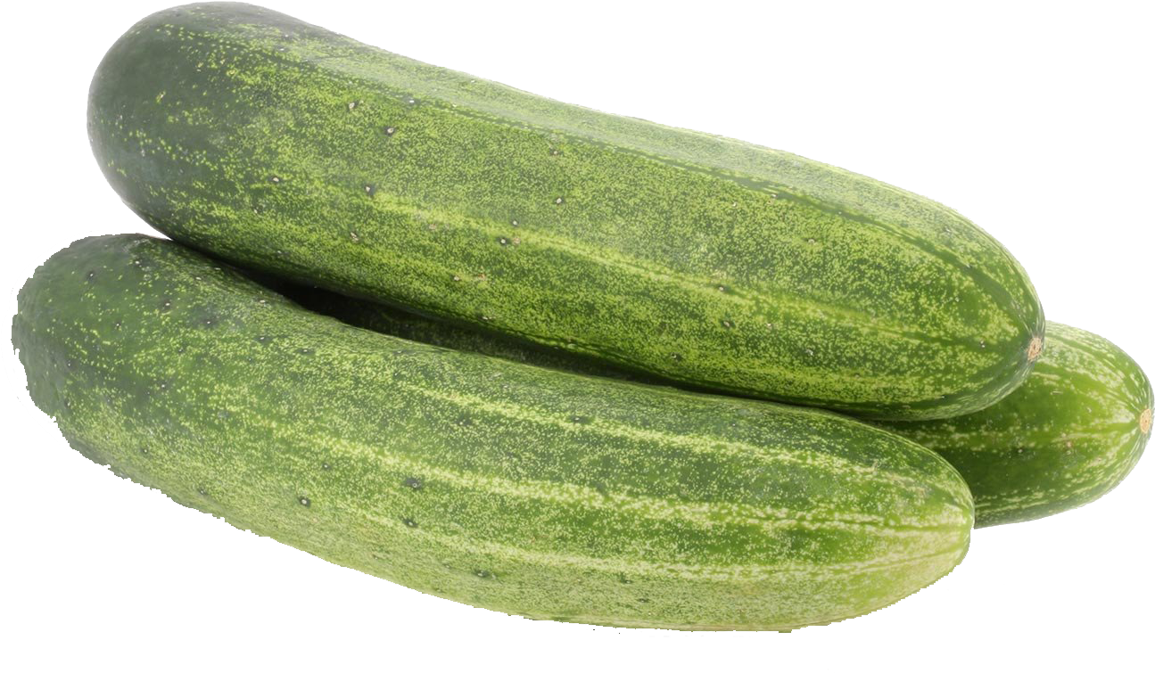 Cucumber Png (1428x929), Png Download