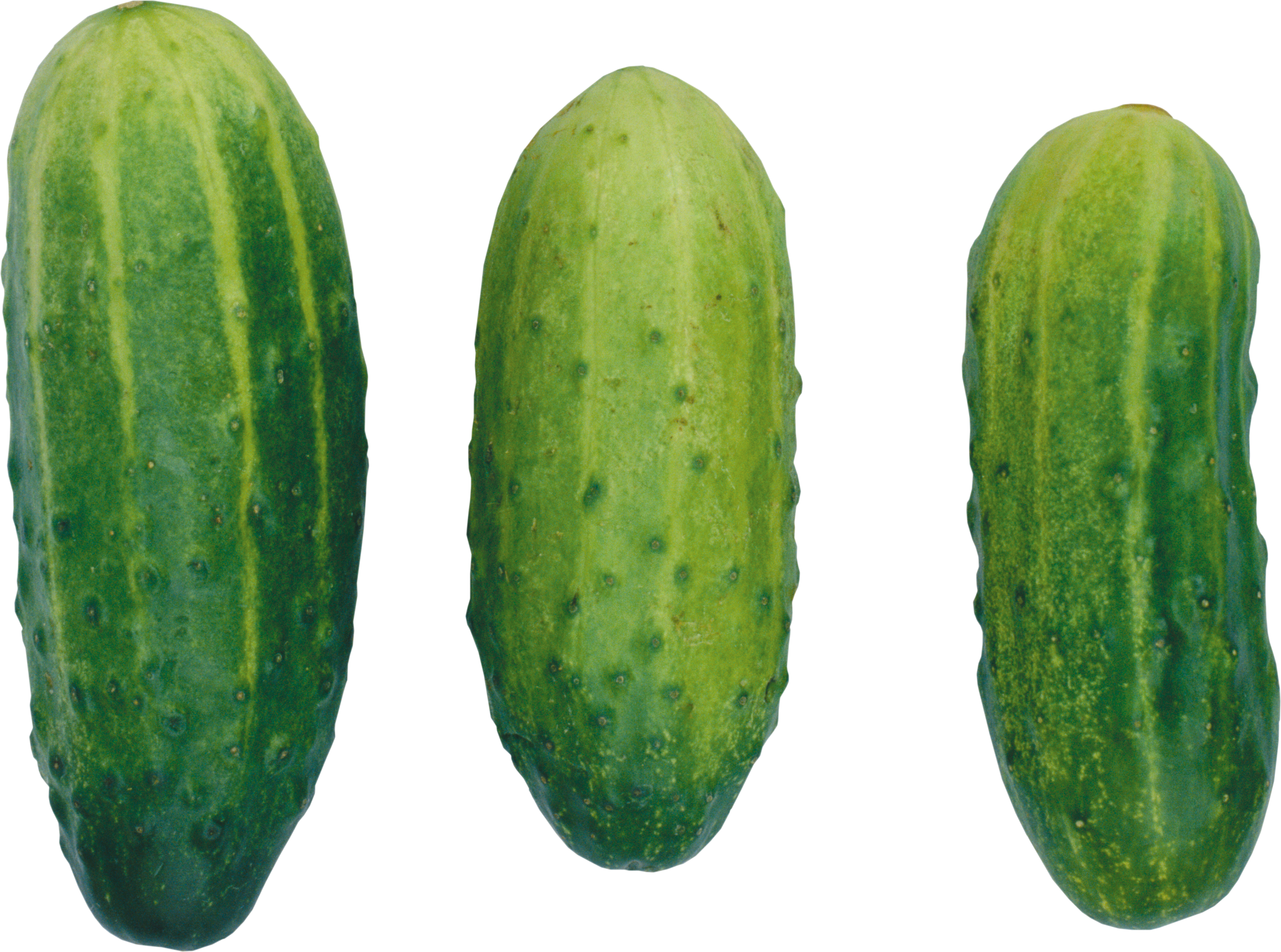 Png Cucumbers (3287x2443), Png Download