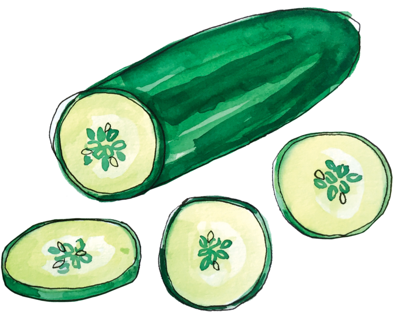 Cucumber June2018 Lyndsay - Portable Network Graphics (1000x1000), Png Download