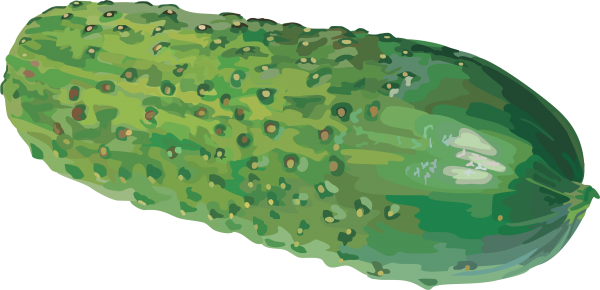 Cucumber Png Free Download - Watercolor Cucumber Png (600x290), Png Download