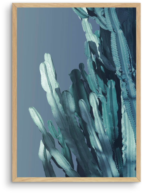 Cactus In Blue No 1 - Picture Frame (600x748), Png Download