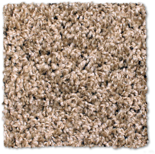 Buy Cape Hatteras By Phenix Shag Texture - Carpet (590x590), Png Download