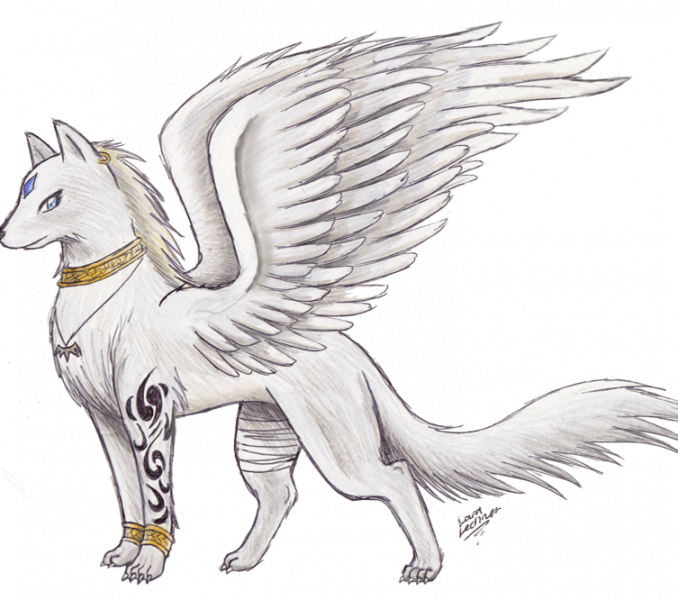 Awesome Drawings Anime Wolf With Wings Wolf With Wings - Drawings Of Dogs Anime (678x600), Png Download