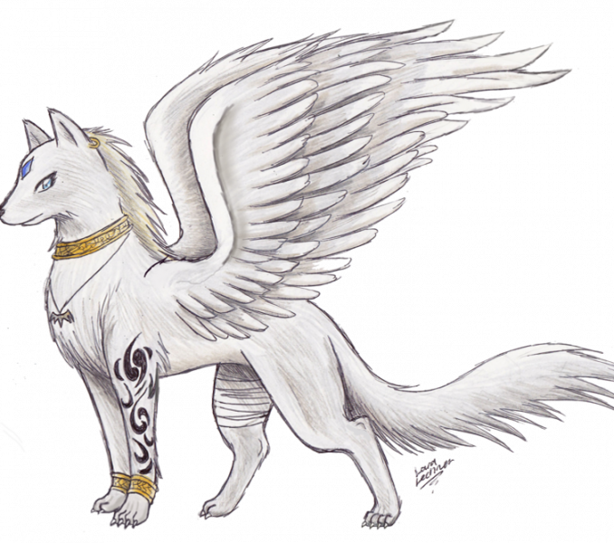 Download Awesome Drawings Anime Wolf With Wings Wolf With Wings - Drawings  Of Dogs Anime PNG Image with No Background - PNGkey.com