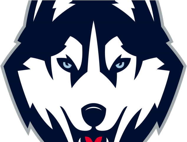 Husky Clipart Washington Huskies - Uconn Husky Logo Png (640x480), Png Download