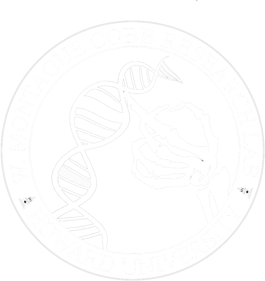 Cobb Seal Clear White - Sketch (1000x995), Png Download