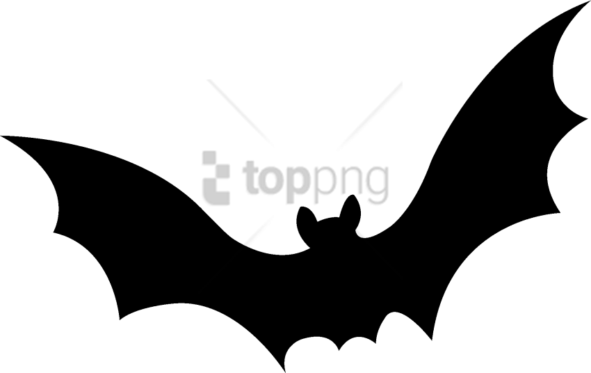 Free Png Download Flying Bats Gif High Resolution Png - Flying Bats Gif High Resolution (850x536), Png Download