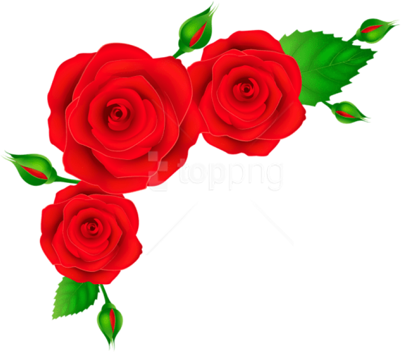 Free Png Download Red Roses Corner Transparent Clipart - Transparent Flower Garlands Png (850x713), Png Download