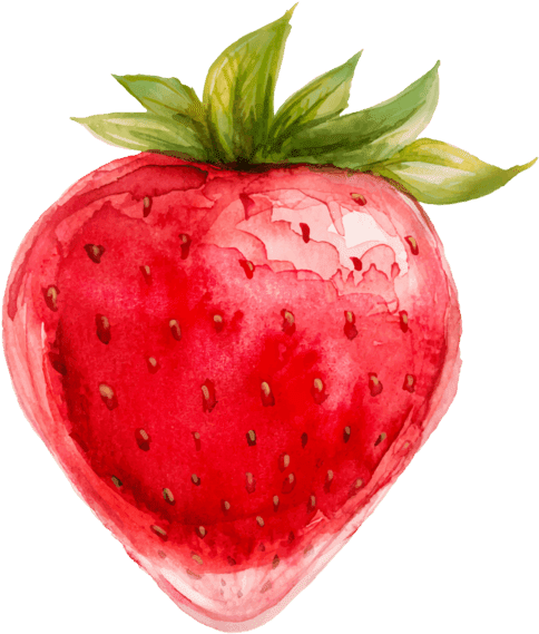Strawberry Illustration Fruit - نقاشی توت فرنگی با آبرنگ (804x992), Png Download