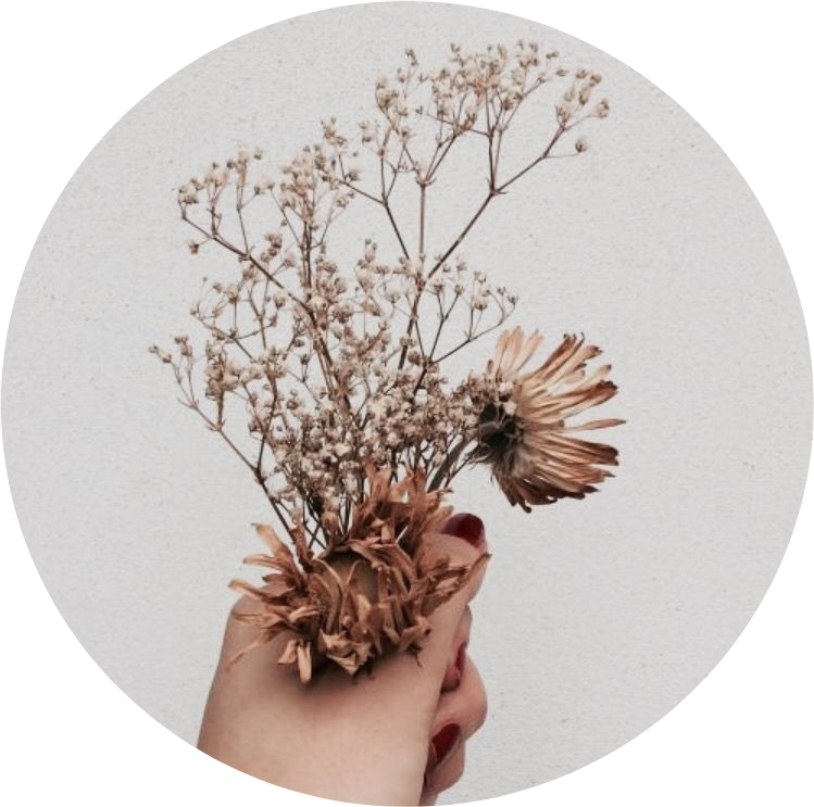 Tumblr Aesthetic Brown Flower Flowers Png Brown Tumblr - Aesthetic Brown (749x743), Png Download