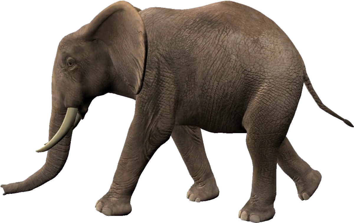 Elephant Walking Animation (1920x1080), Png Download
