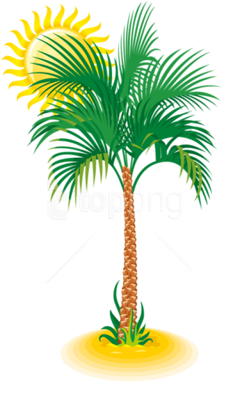 Free Png Download Palm And Sun Clipart Png Photo Png - Tree Vector (480x838), Png Download