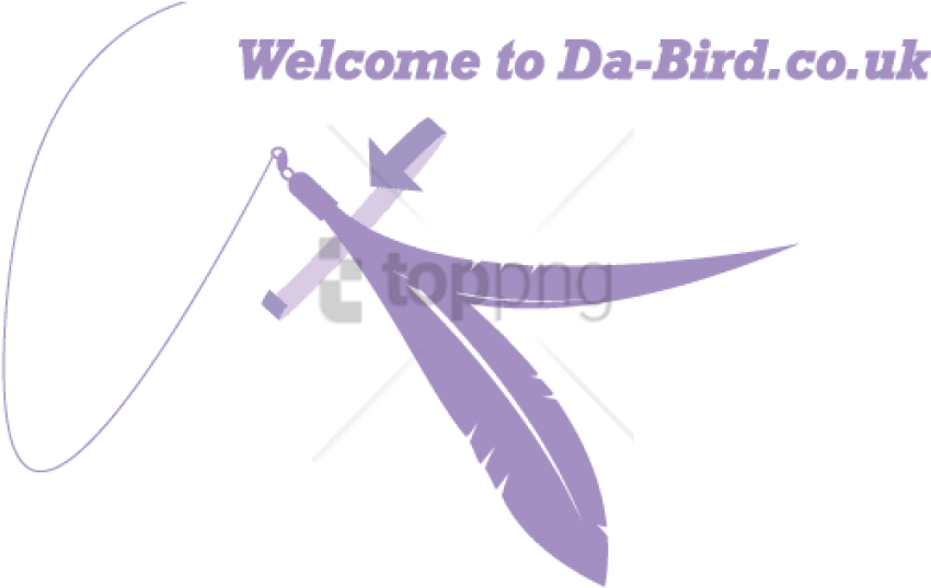 Free Png Da Bird Cat Toy Uk Png Image With Transparent - Da Bird Cat Toy Uk (850x537), Png Download