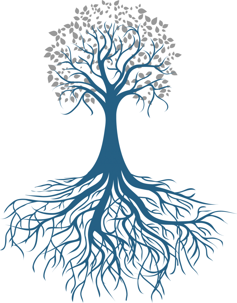 Arbre Rbol De - Arbol Con Raices Png (800x1024), Png Download