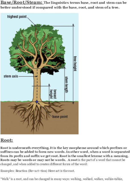 Docx - Palm Tree (600x776), Png Download