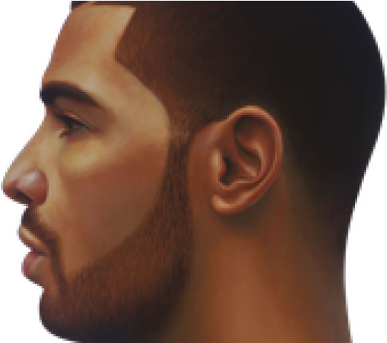 Drake Clipart (640x480), Png Download