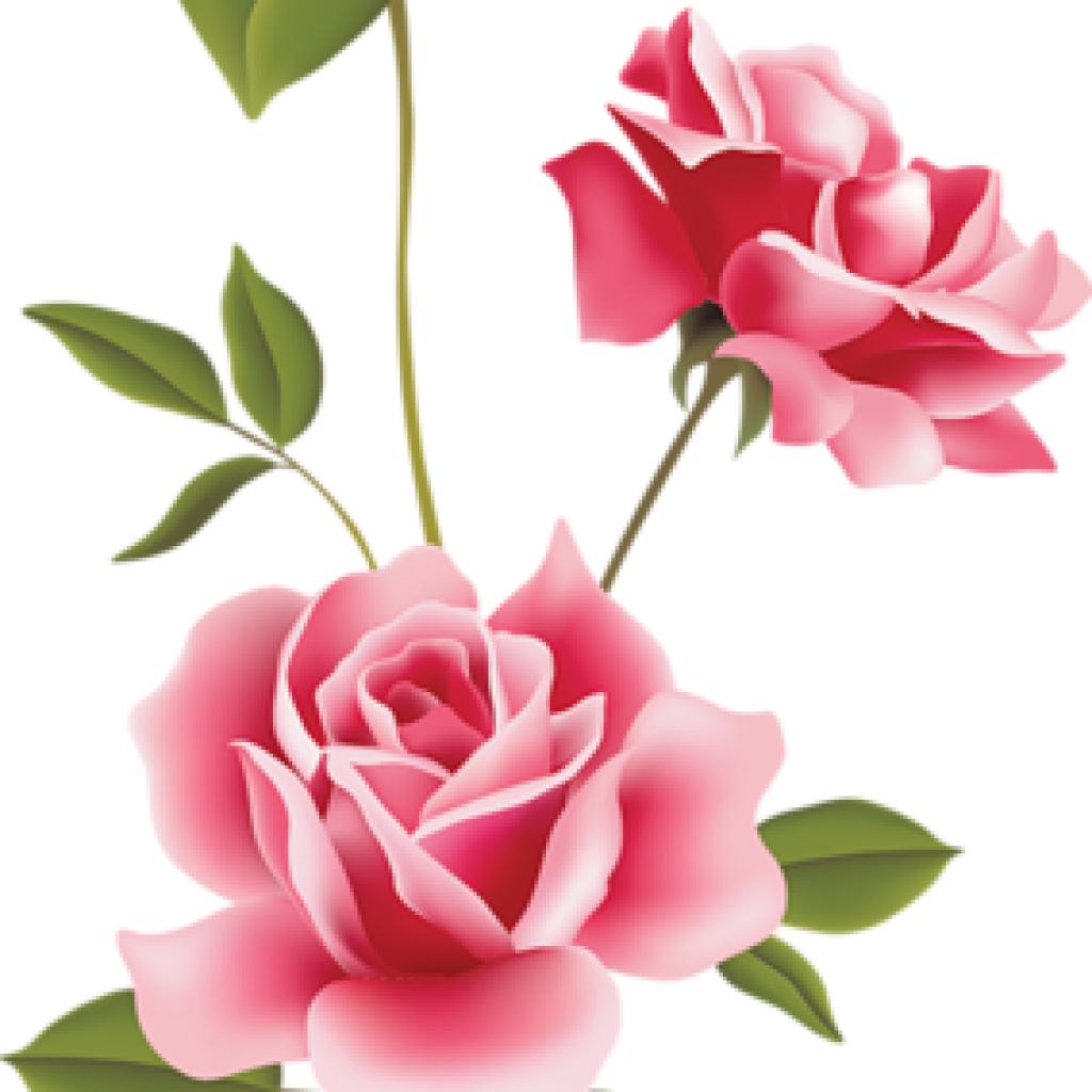 Pink Rose Clipart Pink Roses Clip Art Clip Art Spring - Pink Rose Free Clipart (1024x1024), Png Download