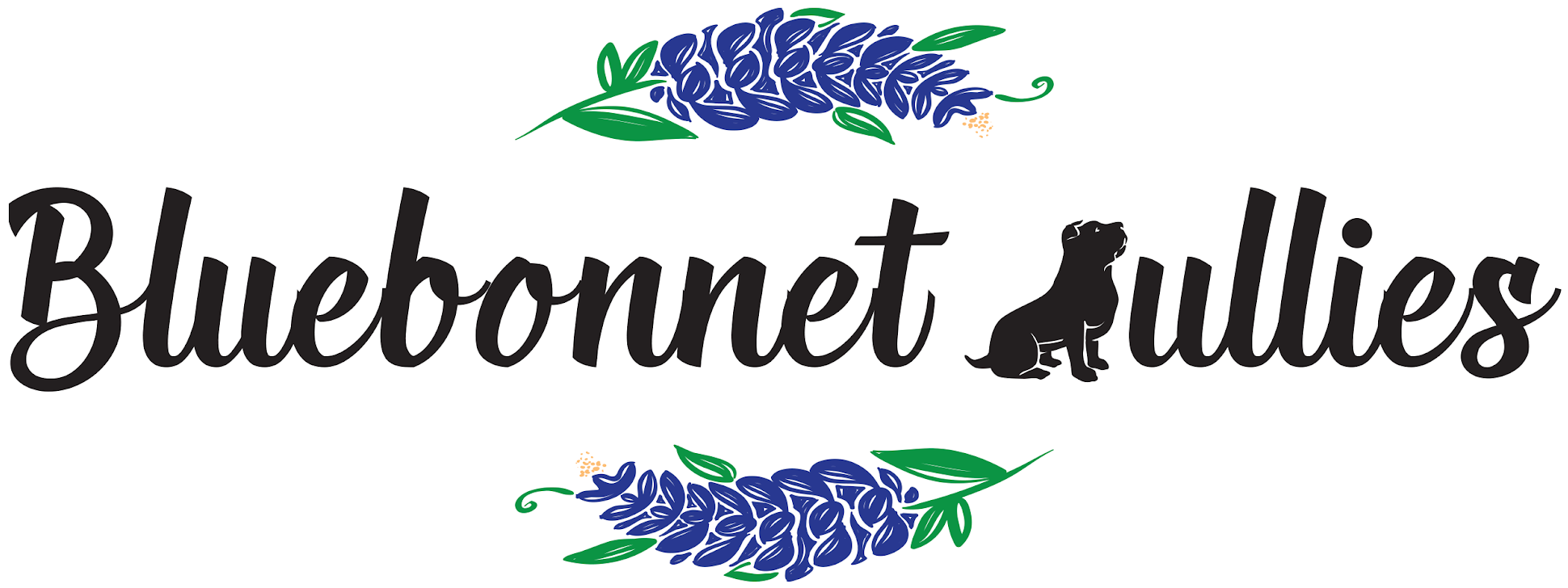 Facebook Instagram Bonnetbullies@gmail - Graphic Design (2001x829), Png Download