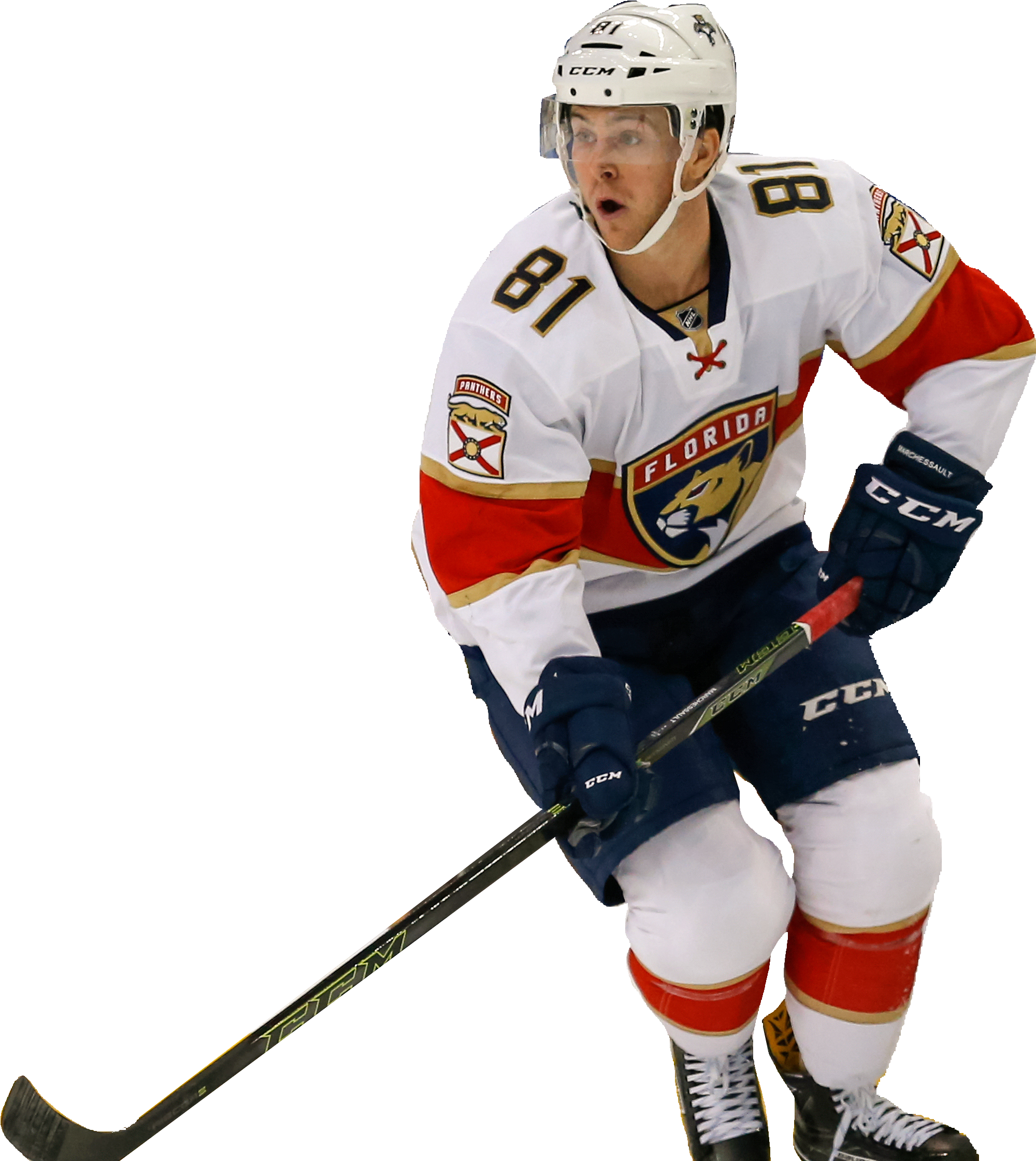 Hockeypngs - College Ice Hockey (3600x2400), Png Download