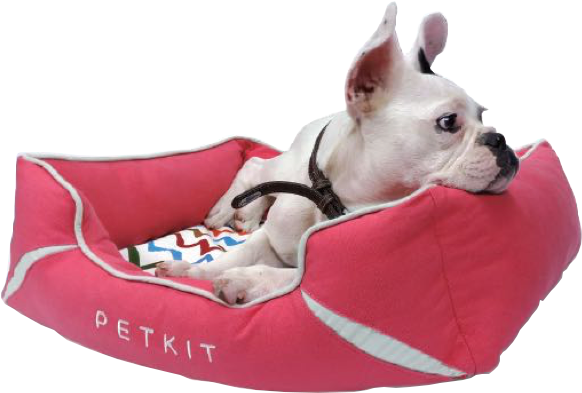 Cama De Viscolástica Para Perros Y Gatos Petkit Petbed - Cama Para Perros Png (680x547), Png Download
