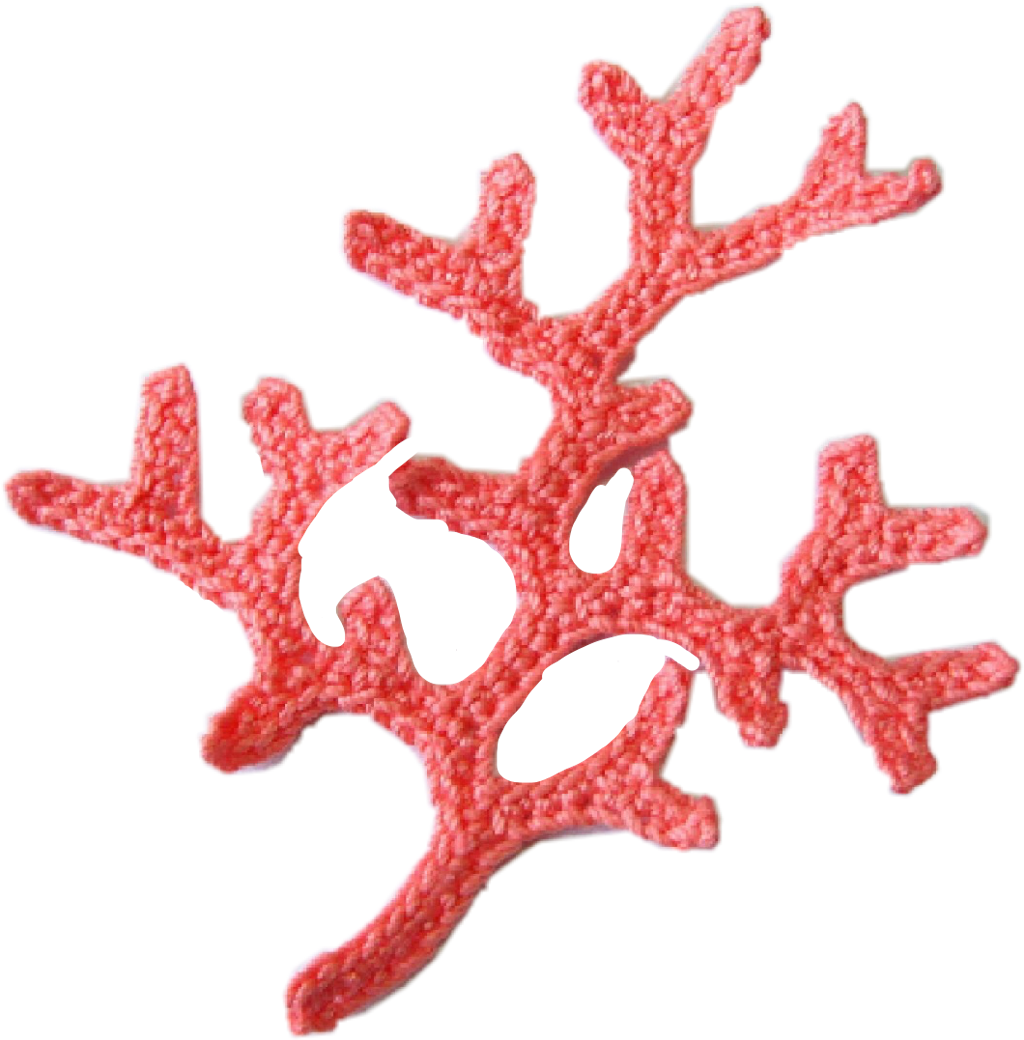 Sccoralcolor Sticker - Marine Invertebrates (1024x1040), Png Download