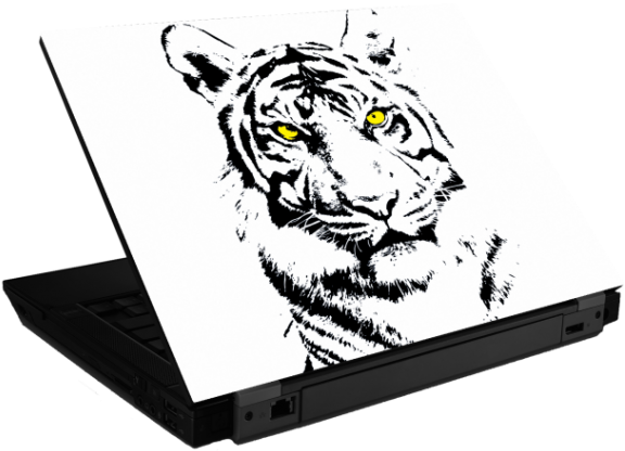 Bengal Tiger (580x580), Png Download