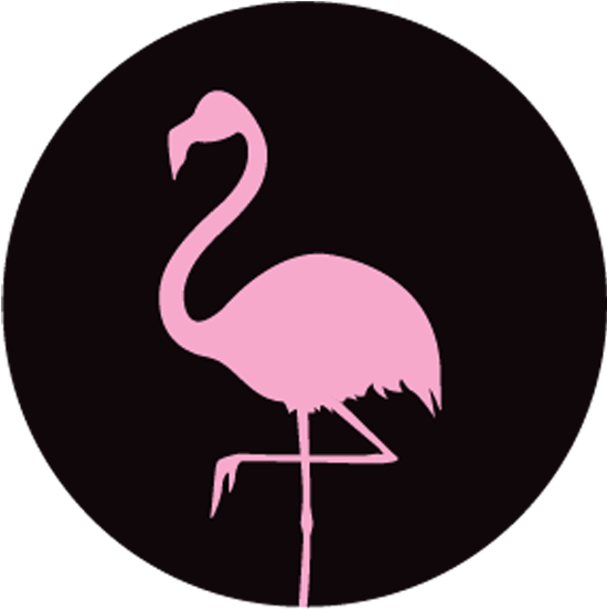 Greater Flamingo (585x585), Png Download