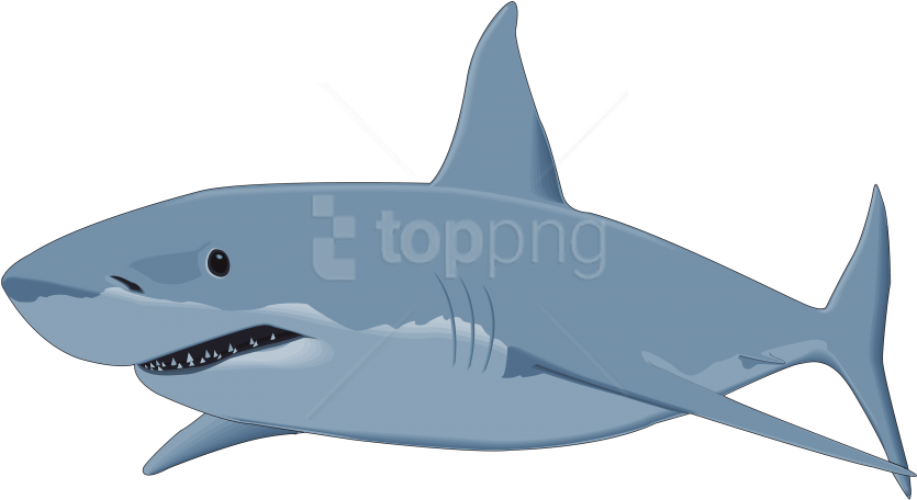 Free Png Download Shark Image Clipart Png Photo Png - Great White Shark Clipart (850x474), Png Download