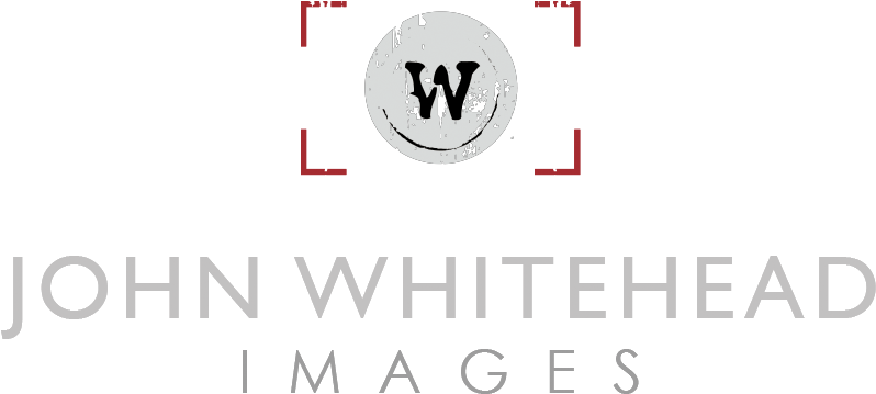 Logo - Horse (808x388), Png Download